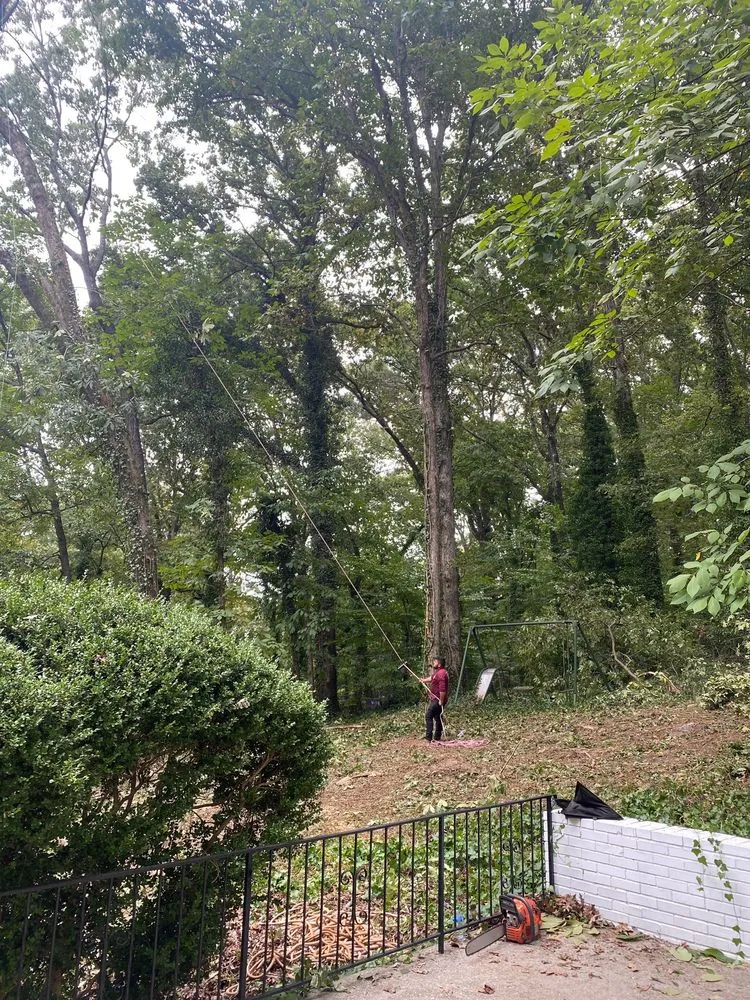 Top-rated yard cleanup service near you in Atlanta, GA by O&S Tree Services