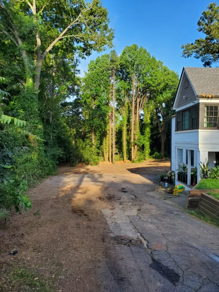 Professional yard cleanup service experts serving Atlanta, GA - O&S Tree Services