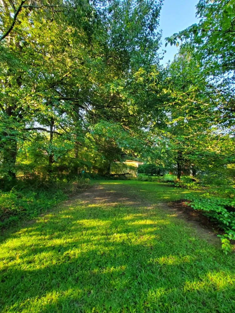 Affordable yard cleanup service in Atlanta, GA by O&S Tree Services