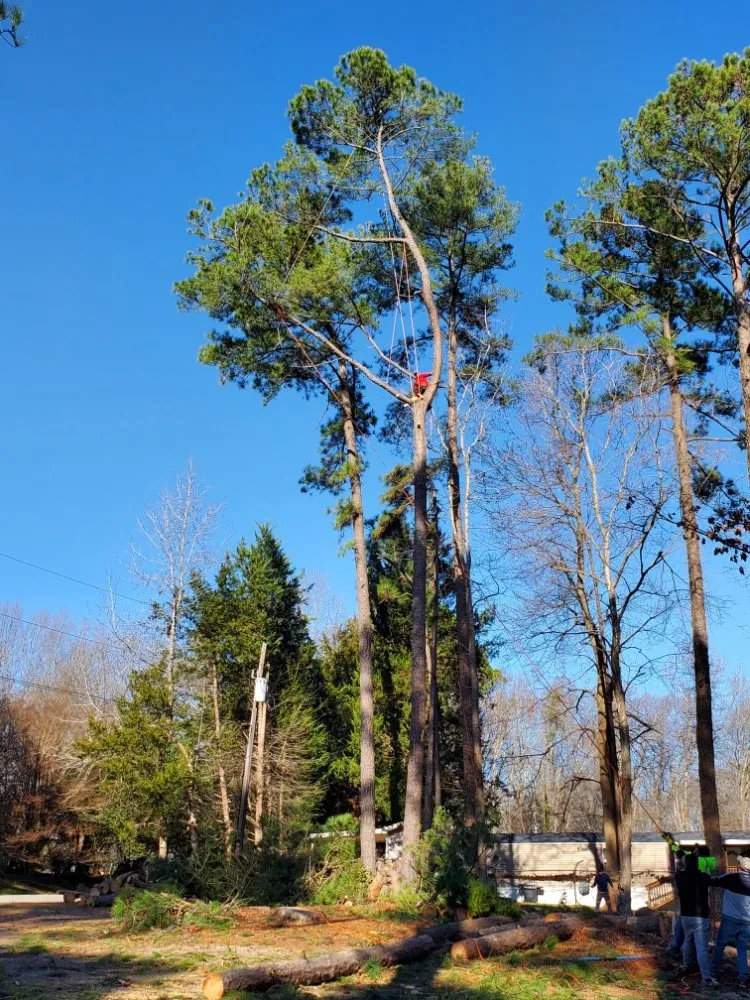 Local garden landscaping in Atlanta, GA by O&S Tree Services