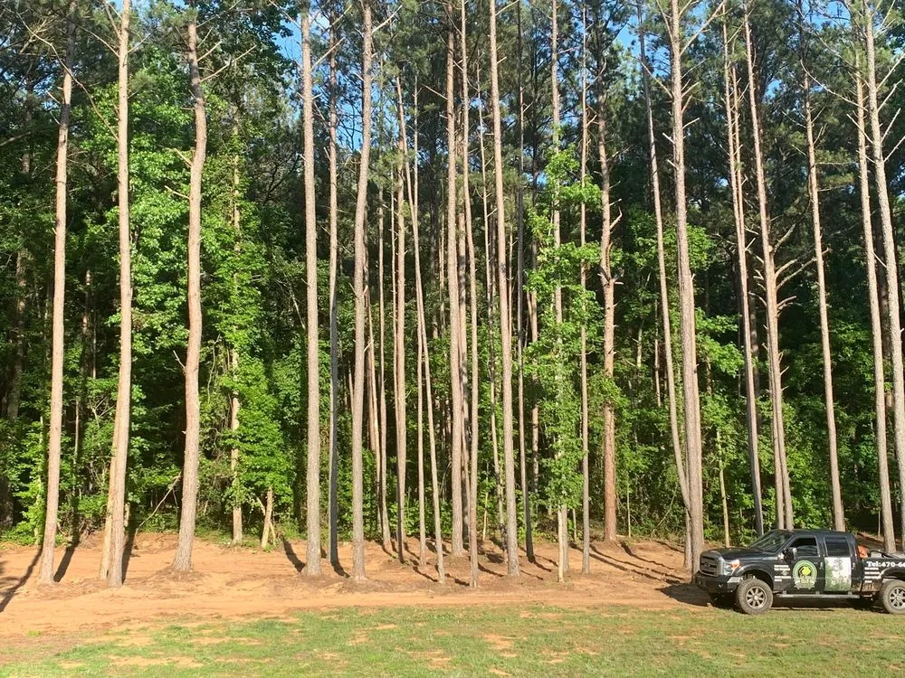 Custom landscape installation with custom design in Atlanta, GA by O&S Tree Services