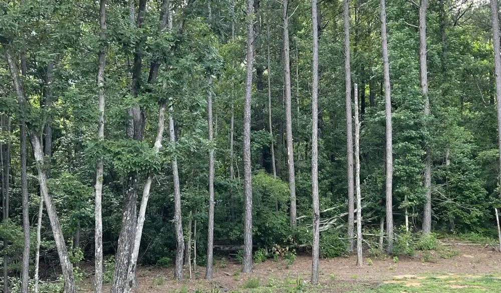 Top-rated garden landscaping for outdoor upgrades in Atlanta, GA by O&S Tree Services