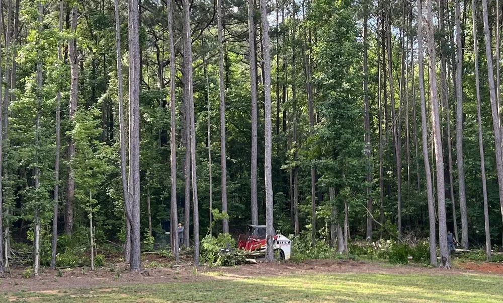Trusted yard cleanup service in Atlanta, GA - O&S Tree Services