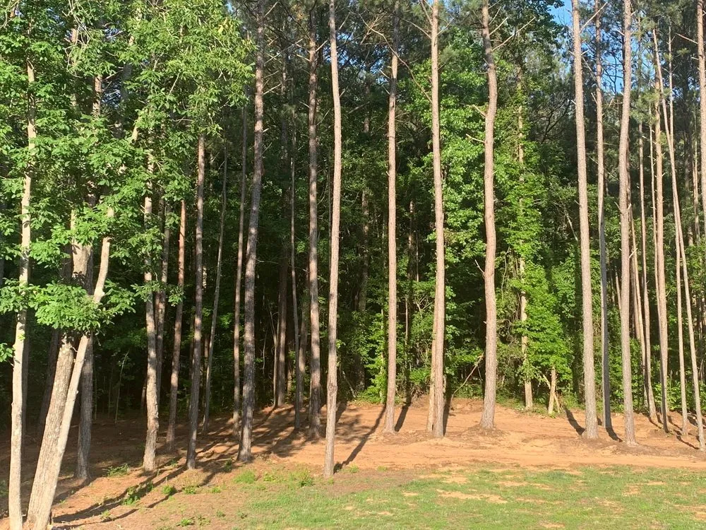 Professional landscaping services in Atlanta, GA - O&S Tree Services