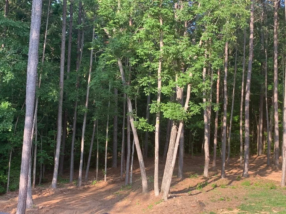 Trusted garden landscaping experts serving Atlanta, GA - O&S Tree Services