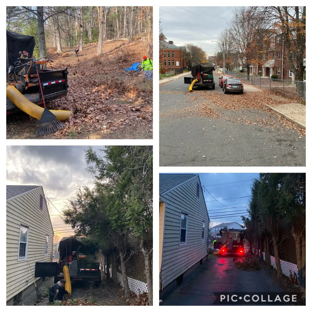 Affordable landscaping services in New Britain, CT by OSA Landscaping