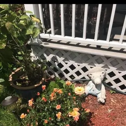 Professional landscape installation in New Britain, CT - OSA Landscaping