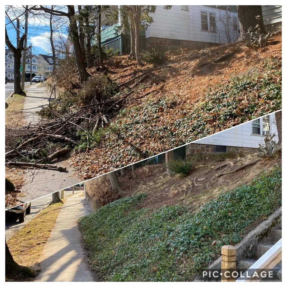 Professional landscape installation in New Britain, CT by OSA Landscaping