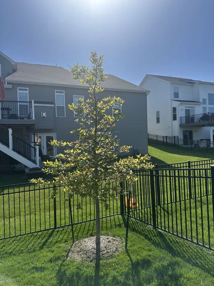 Local landscaping services near you across Troy, MO - Osage Arbor Care