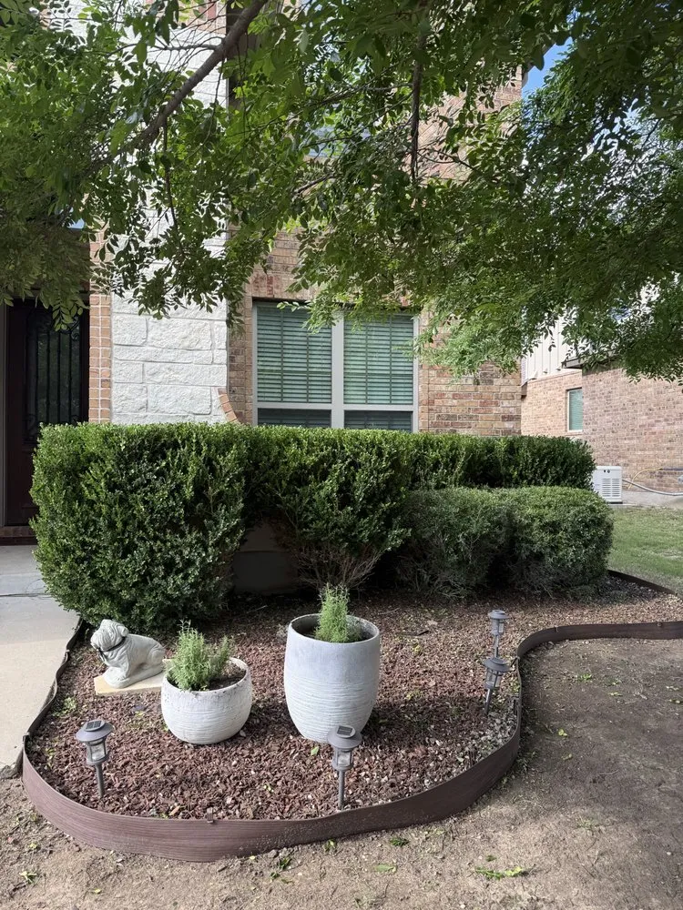 Local yard cleanup service in Round Rock, TX - Osbaldo Lawn Care