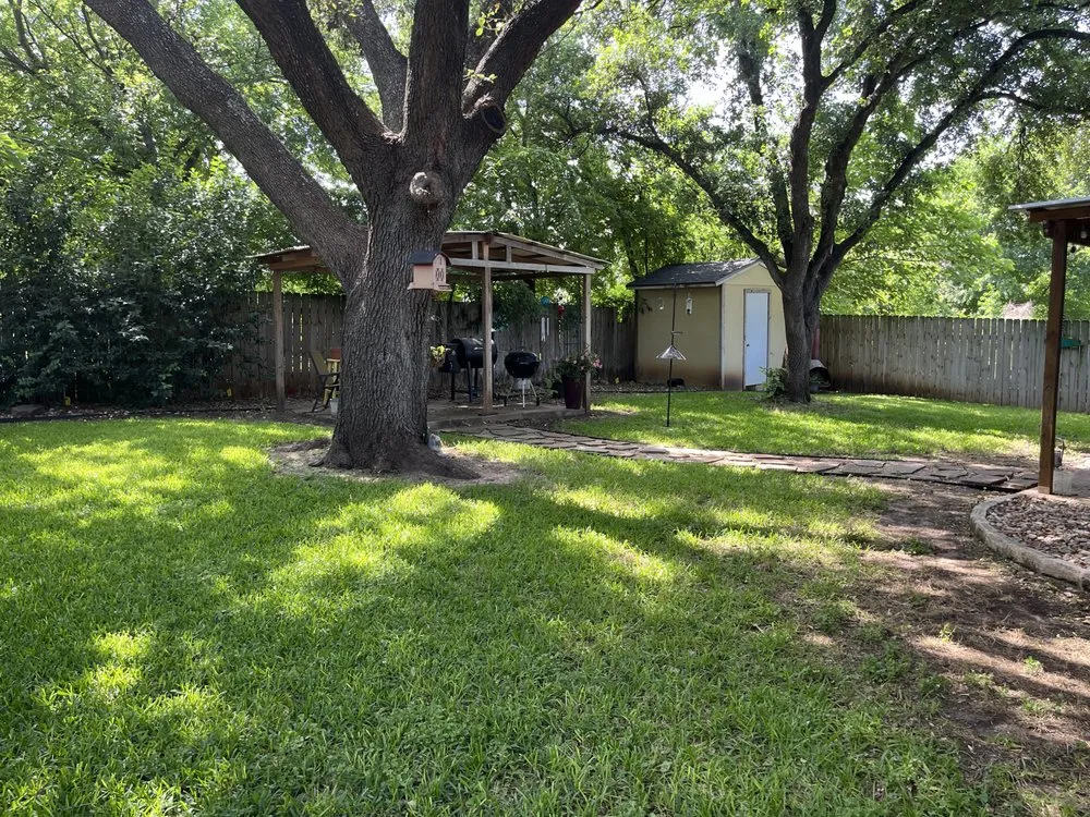 Expert yard cleanup service experts serving Round Rock, TX - Osbaldo Lawn Care