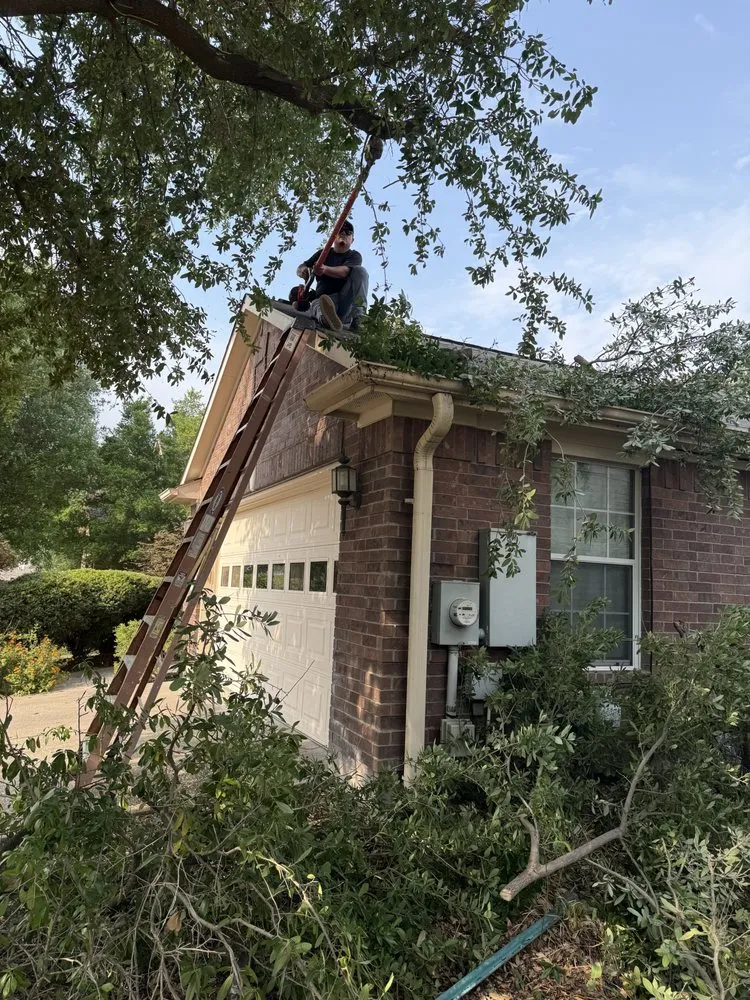 Professional landscape design for outdoor upgrades in Round Rock, TX by Osbaldo Lawn Care