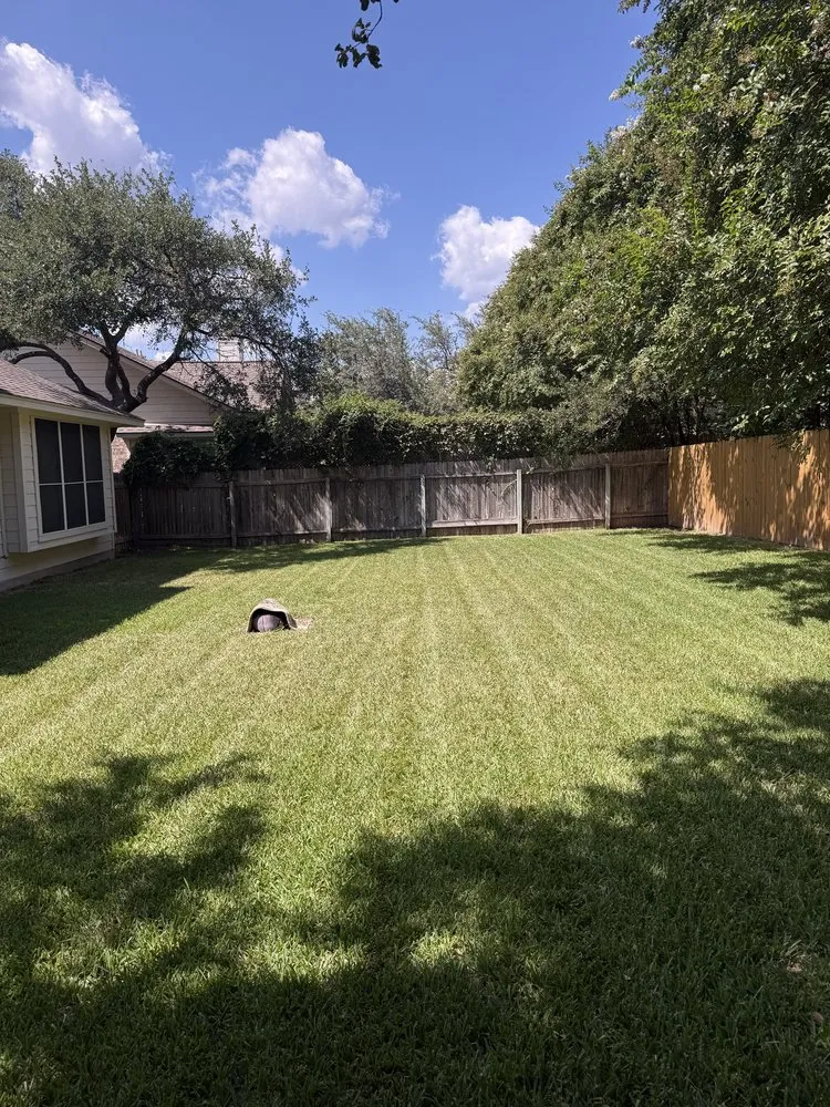 Trusted landscape installation near you across Round Rock, TX - Osbaldo Lawn Care