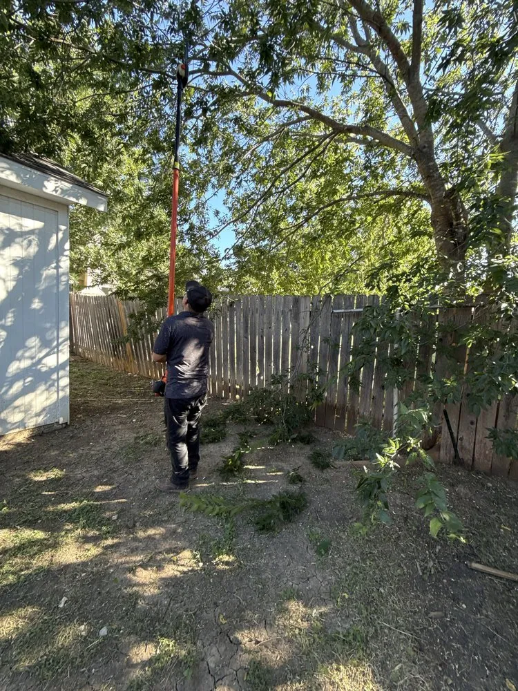 Affordable yard cleanup service in Round Rock, TX by Osbaldo Lawn Care