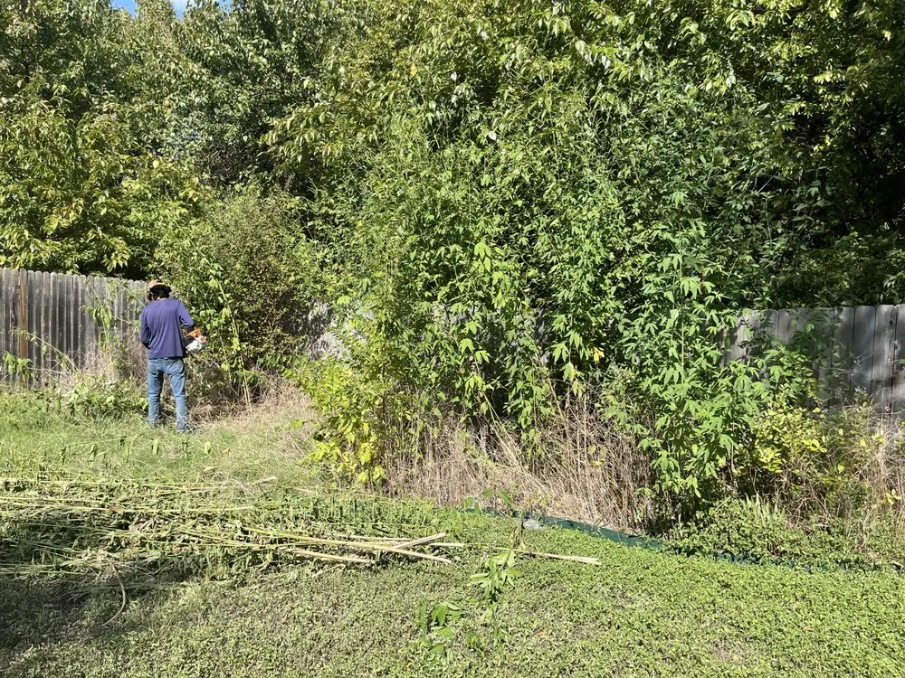 Affordable residential landscaping in Round Rock, TX - Osbaldo Lawn Care