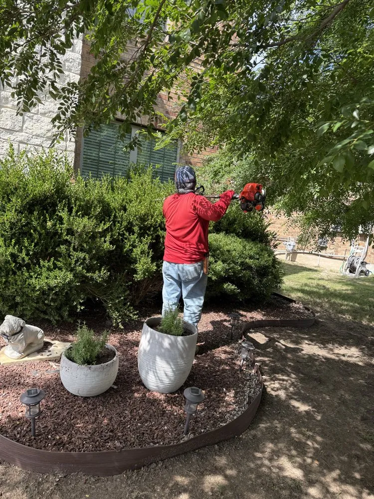 Top-rated yard maintenance in Round Rock, TX by Osbaldo Lawn Care