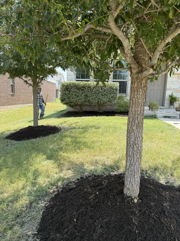 Professional landscaping services experts serving Round Rock, TX - Osbaldo Lawn Care