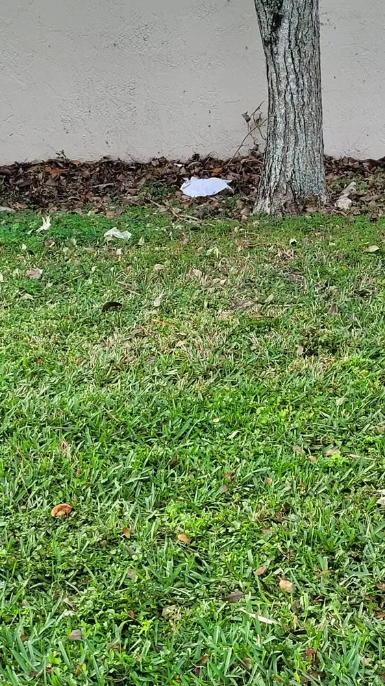 Reliable residential landscaping experts serving Kendale Lakes, FL - Osbel Land Service