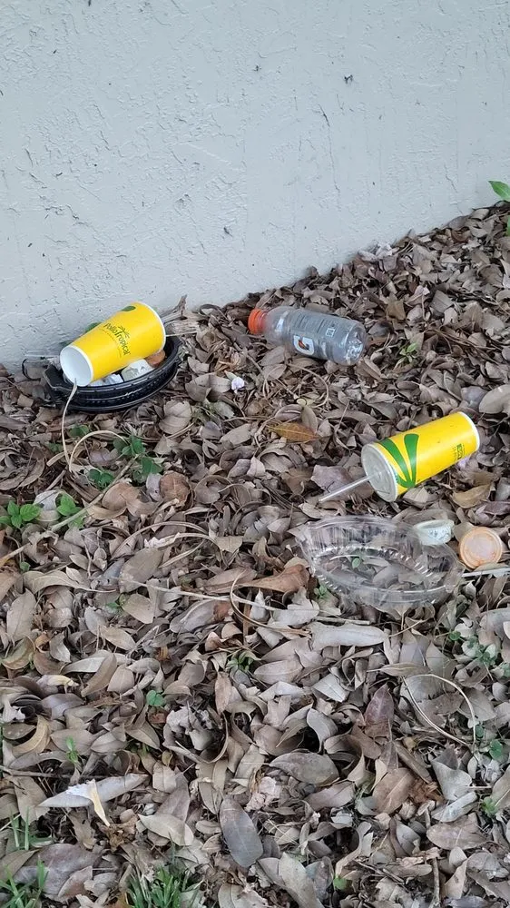 Custom garden landscaping experts serving Kendale Lakes, FL - Osbel Land Service