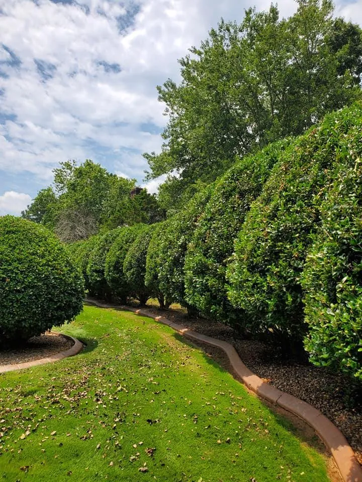 Top-rated garden landscaping in Anderson, SC - Osborn Lawn Management