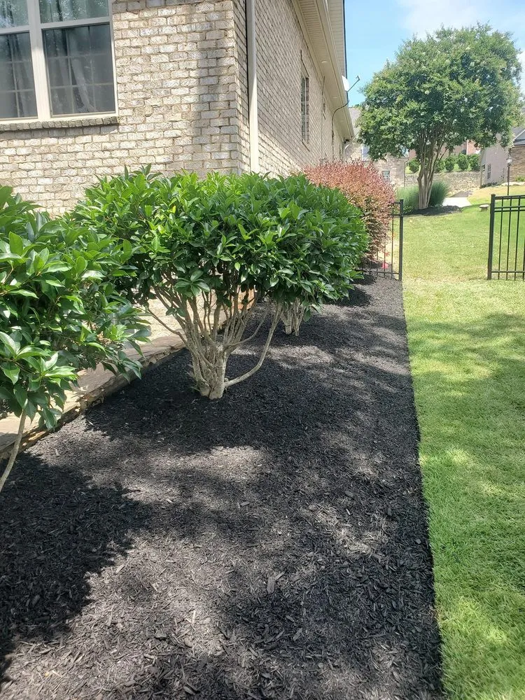Custom yard cleanup service for year-round maintenance in Anderson, SC by Osborn Lawn Management