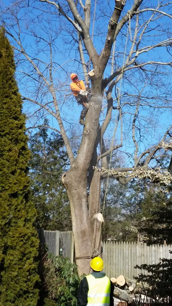 Reliable yard maintenance for residential properties in Warwick, RI by Osborn Tree Service