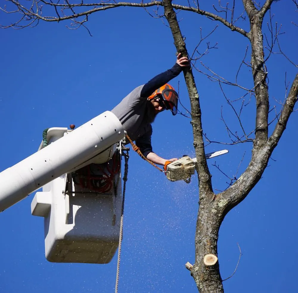 Custom lawn mowing service for beautiful yards in Warwick, RI by Osborn Tree Service