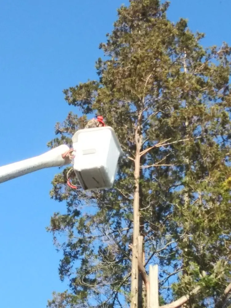 Expert landscape installation for residential properties across Warwick, RI - Osborn Tree Service