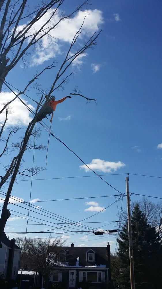 Reliable yard maintenance for outdoor upgrades across Warwick, RI - Osborn Tree Service