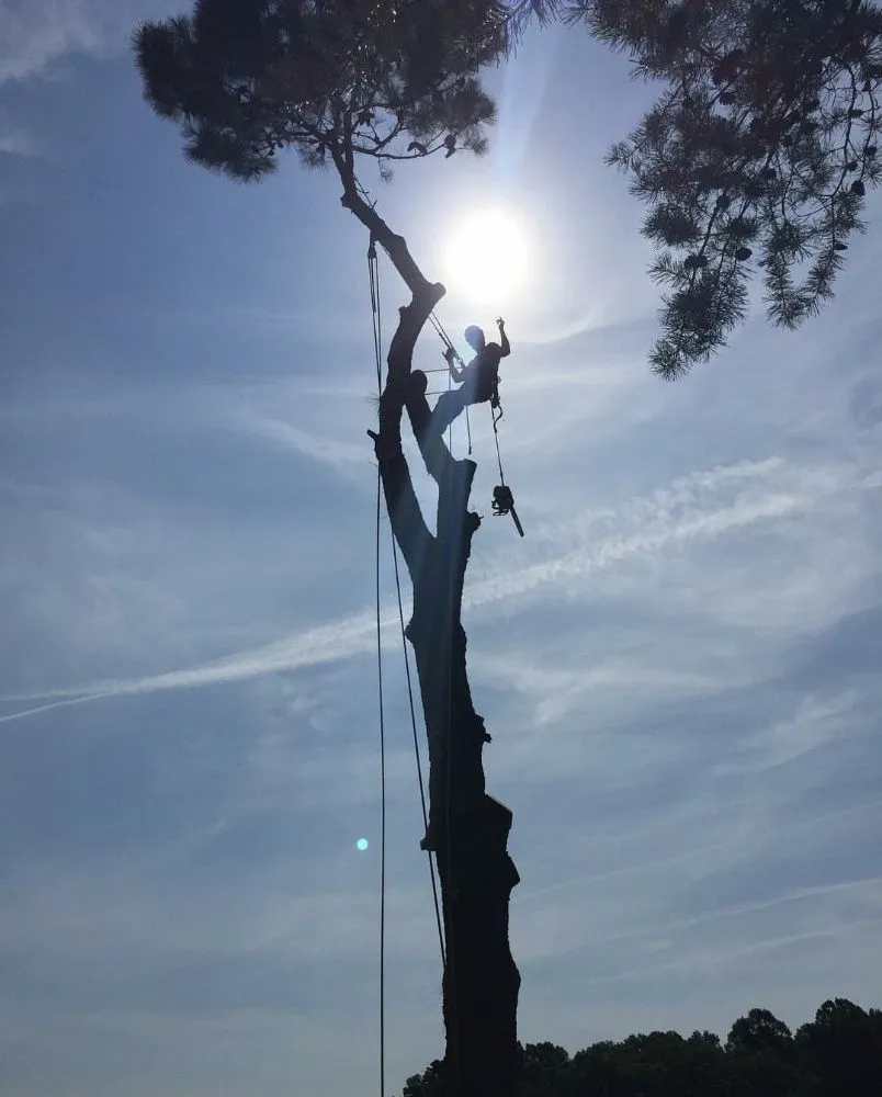 Top-rated landscape installation near you in Warwick, RI by Osborn Tree Service