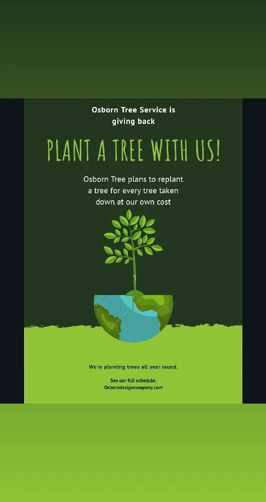 Expert residential landscaping for beautiful yards across Warwick, RI - Osborn Tree Service