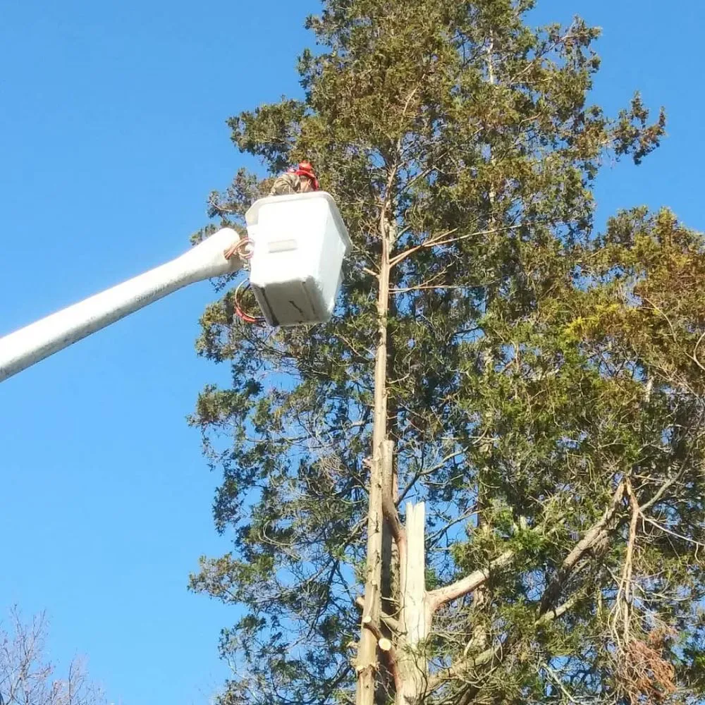 Custom lawn care service in Warwick, RI by Osborn Tree Service