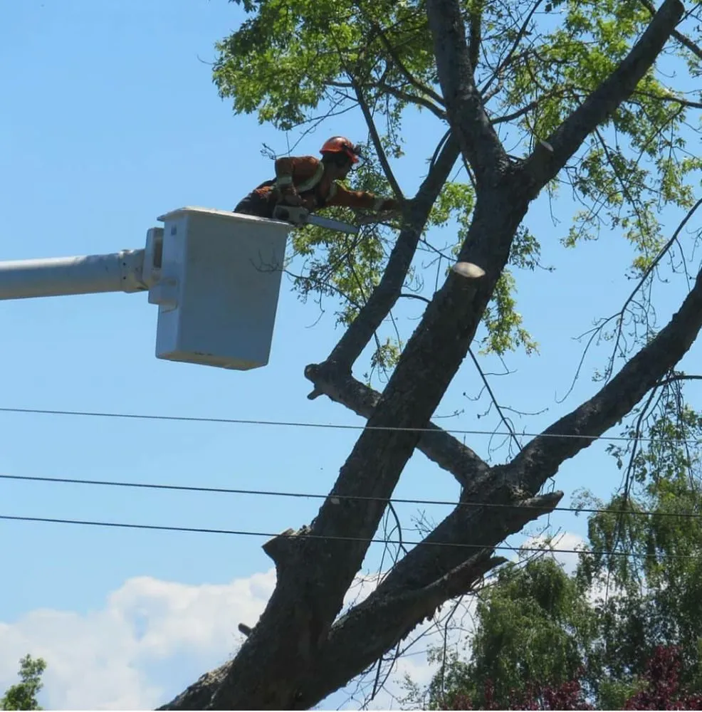 Affordable garden landscaping for beautiful yards across Warwick, RI - Osborn Tree Service