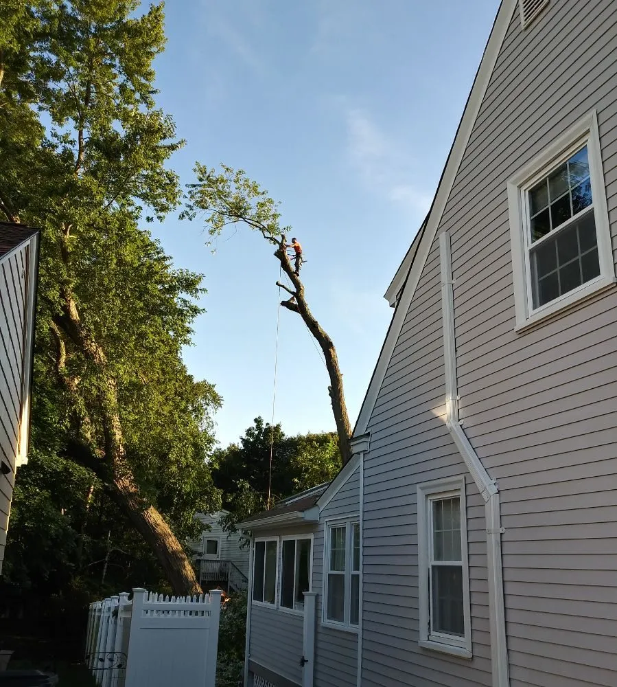 Custom garden landscaping for outdoor upgrades across Warwick, RI - Osborn Tree Service