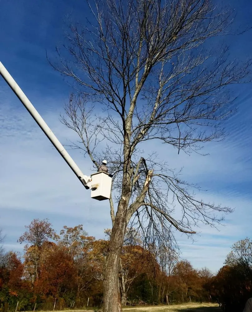 Custom outdoor landscaping for outdoor upgrades across Warwick, RI - Osborn Tree Service