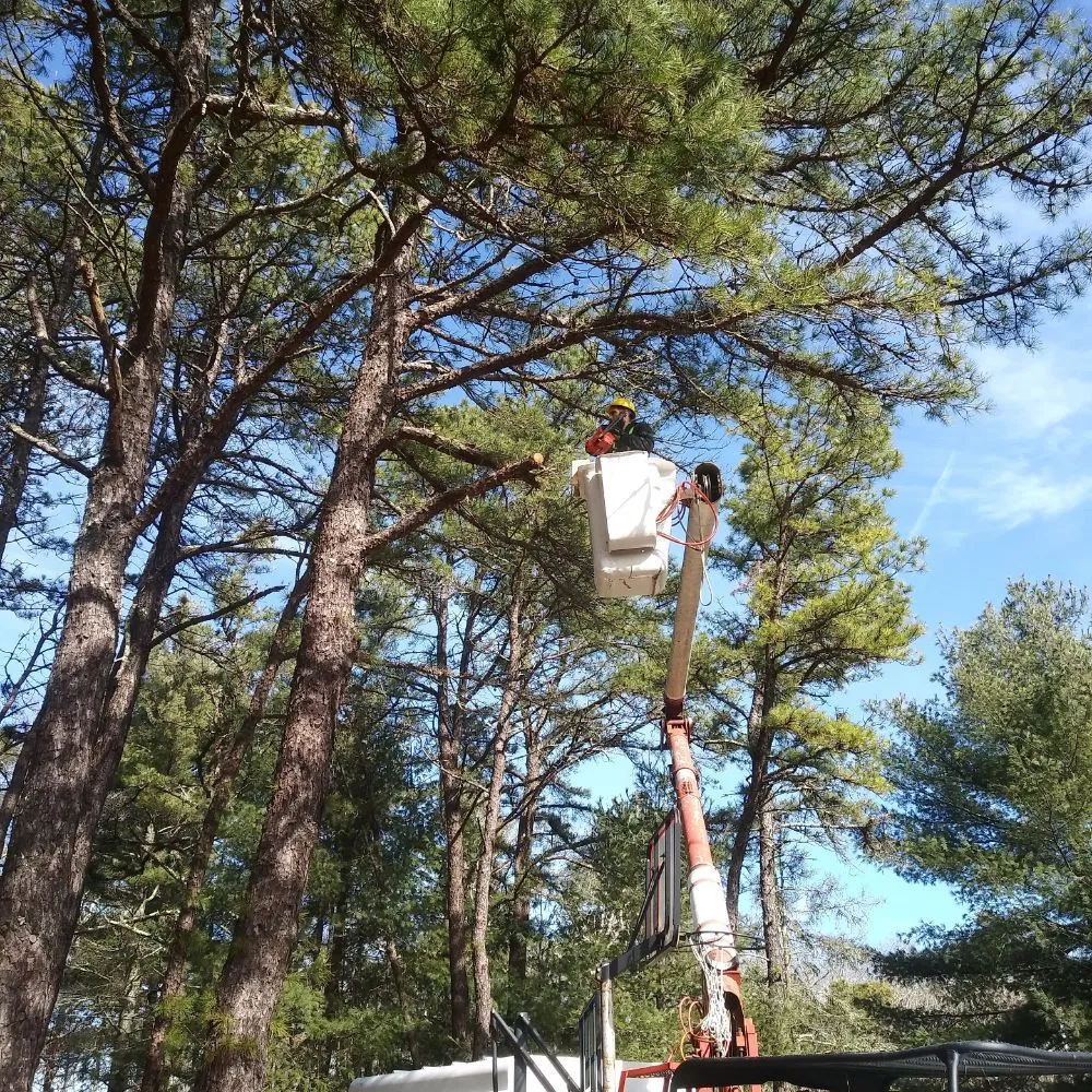 Reliable outdoor landscaping experts serving Warwick, RI - Osborn Tree Service