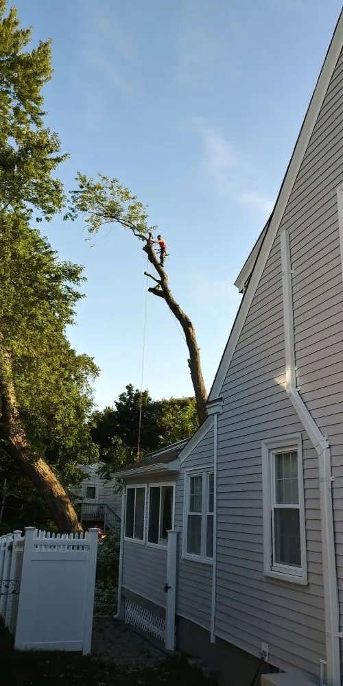 Reliable garden landscaping for outdoor upgrades across Warwick, RI - Osborn Tree Service