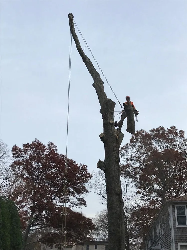 Custom lawn mowing service for outdoor upgrades in Warwick, RI by Osborn Tree Service