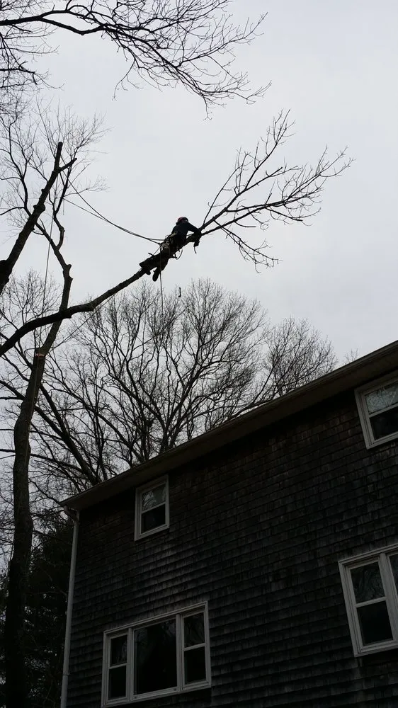 Affordable yard maintenance in Warwick, RI - Osborn Tree Service