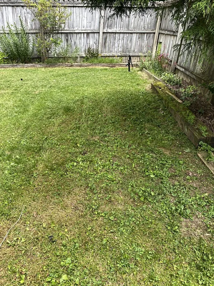 Custom garden landscaping experts serving Knoxville, TN - Osborne & Sheppard Landscaping