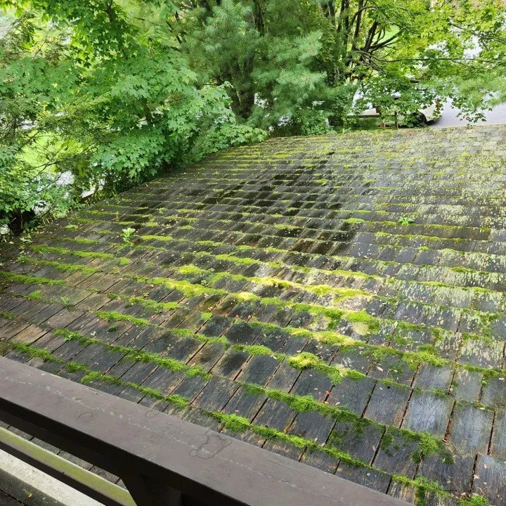 Expert residential landscaping for residential properties across Spring Mills, PA - Osborne's Professional Services
