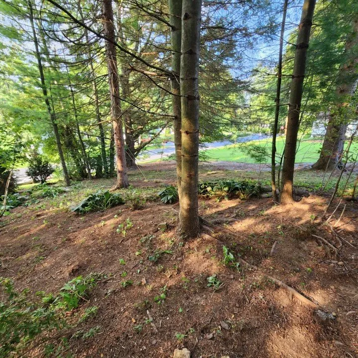 Reliable landscape design for residential properties across Spring Mills, PA - Osborne's Professional Services