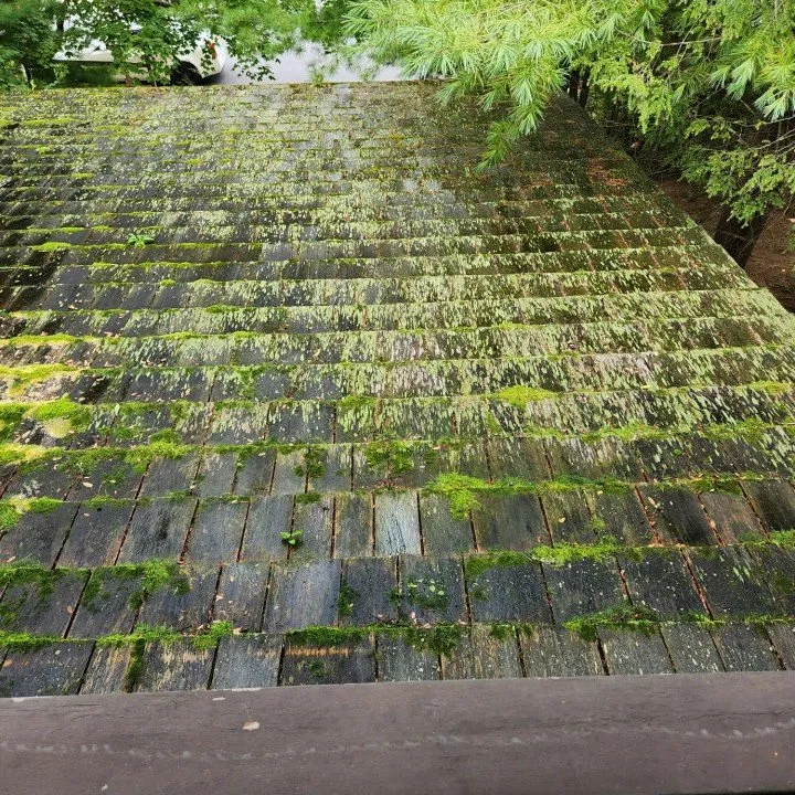 Expert lawn mowing service in Spring Mills, PA by Osborne's Professional Services