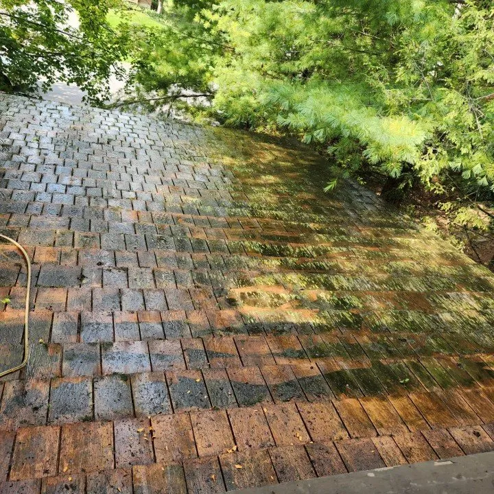 Top-rated lawn care service for residential properties in Spring Mills, PA by Osborne's Professional Services