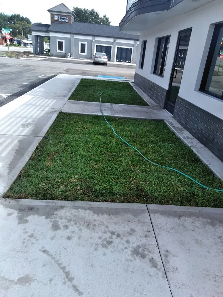 Top-rated yard cleanup service in Orlando, FL - OScape Lawn & Landscaping