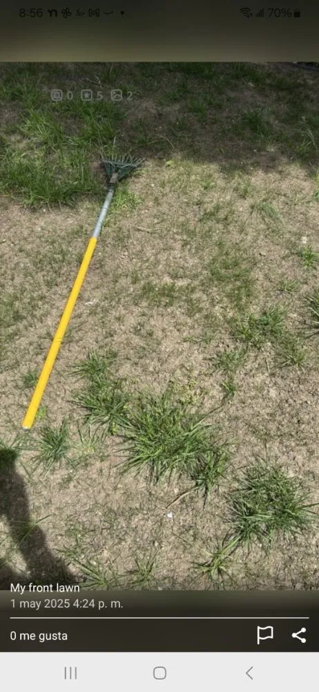 Professional residential landscaping experts serving Queens, NY - Oscar Abarca Landscaping Service