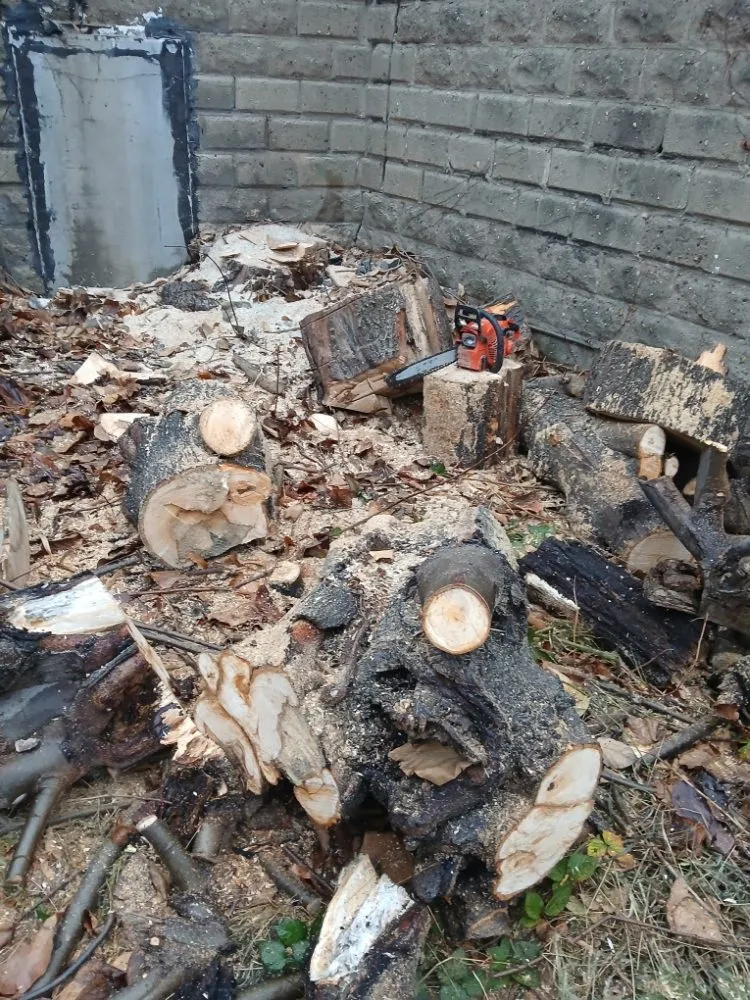 Local lawn mowing service in Queens, NY by Oscar Abarca Landscaping Service