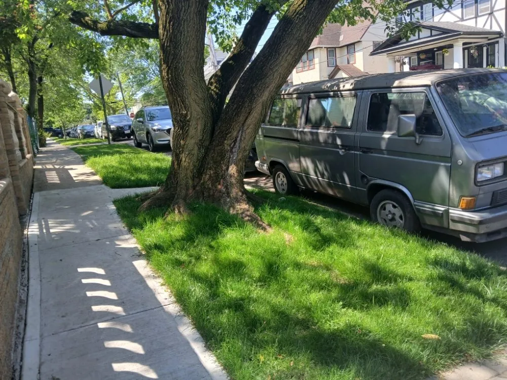 Local landscaping services in Queens, NY - Oscar Abarca Landscaping Service