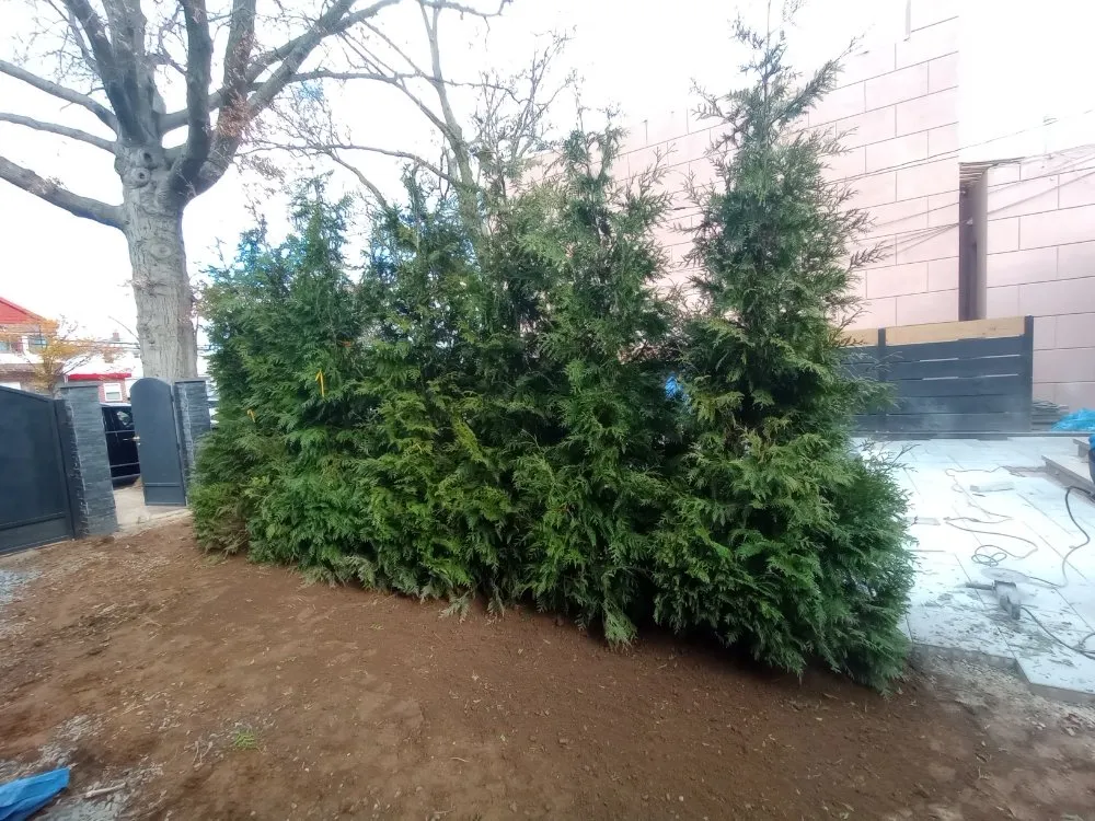 Custom residential landscaping experts serving Queens, NY - Oscar Abarca Landscaping Service