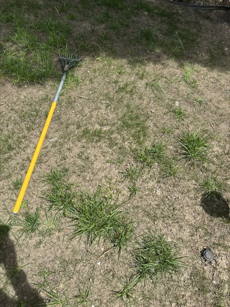 Affordable lawn care service for outdoor upgrades in Queens, NY by Oscar Abarca Landscaping Service